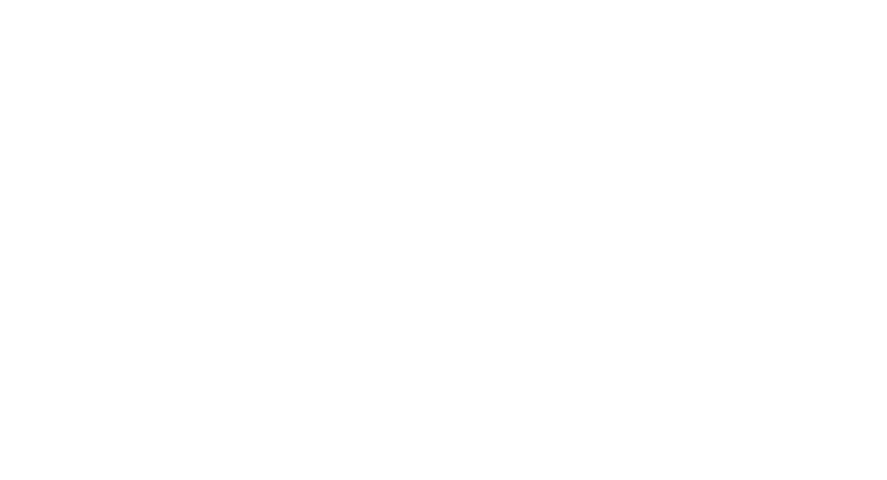 SEBRAE